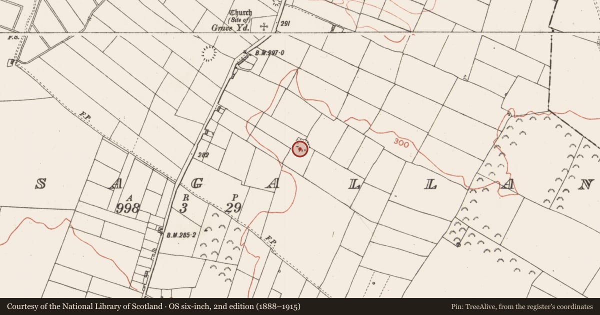 Ordnance Survey six-inch map, 2nd edition (1888–1915) covering the location of Souterrain, Lissagallan, County Roscommon, with a pin at the register's coordinates