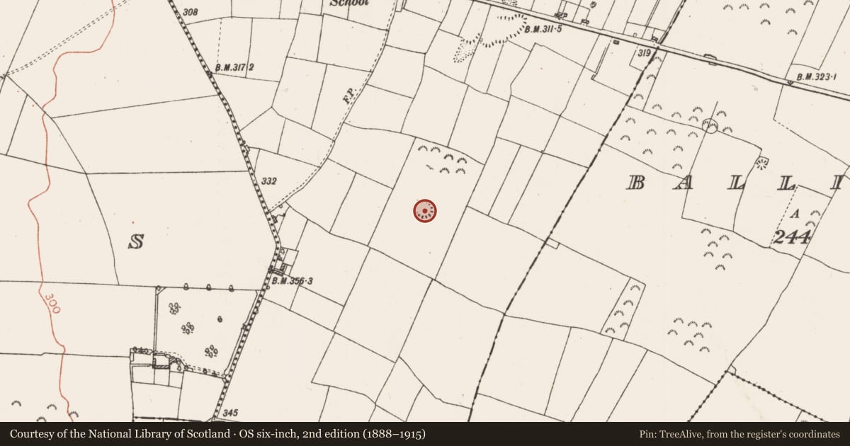 Ordnance Survey six-inch map, 2nd edition (1888–1915) covering the location of Ringfort - rath, Lissagallan, County Roscommon, with a pin at the register's coordinates