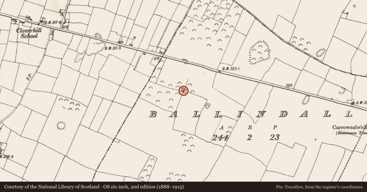 Ordnance Survey six-inch map, 2nd edition (1888–1915) covering the location of Enclosure, Ballindall, County Roscommon, with a pin at the register's coordinates