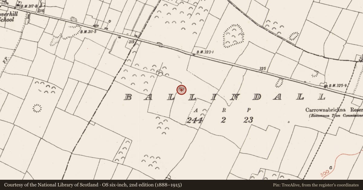 Ordnance Survey six-inch map, 2nd edition (1888–1915) covering the location of Earthwork, Ballindall, County Roscommon, with a pin at the register's coordinates