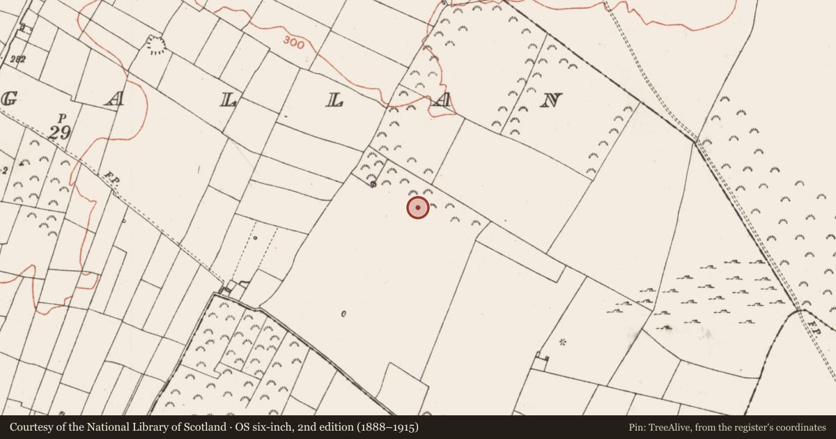 Ordnance Survey six-inch map, 2nd edition (1888–1915) covering the location of Earthwork, Lissagallan, County Roscommon, with a pin at the register's coordinates