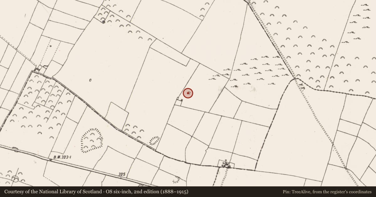 Ordnance Survey six-inch map, 2nd edition (1888–1915) covering the location of Earthwork, Lissagallan, County Roscommon, with a pin at the register's coordinates