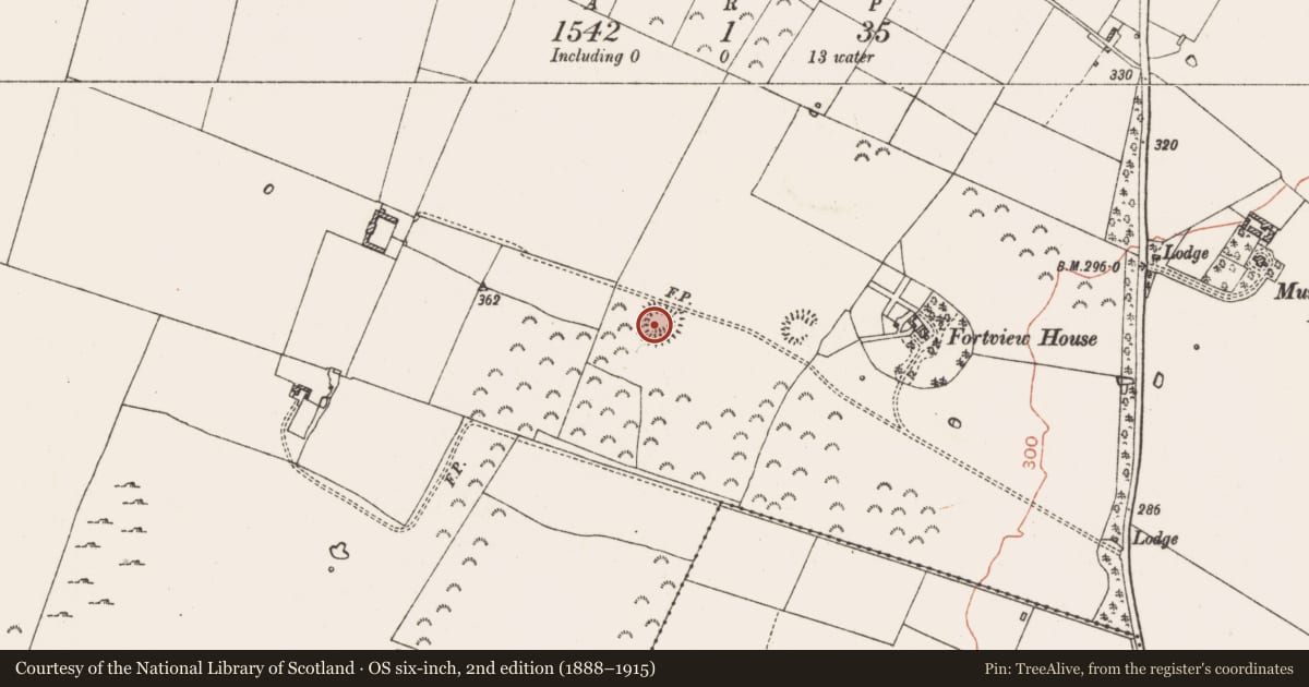 Ordnance Survey six-inch map, 2nd edition (1888–1915) covering the location of Ringfort - rath, Mullymucks, County Roscommon, with a pin at the register's coordinates