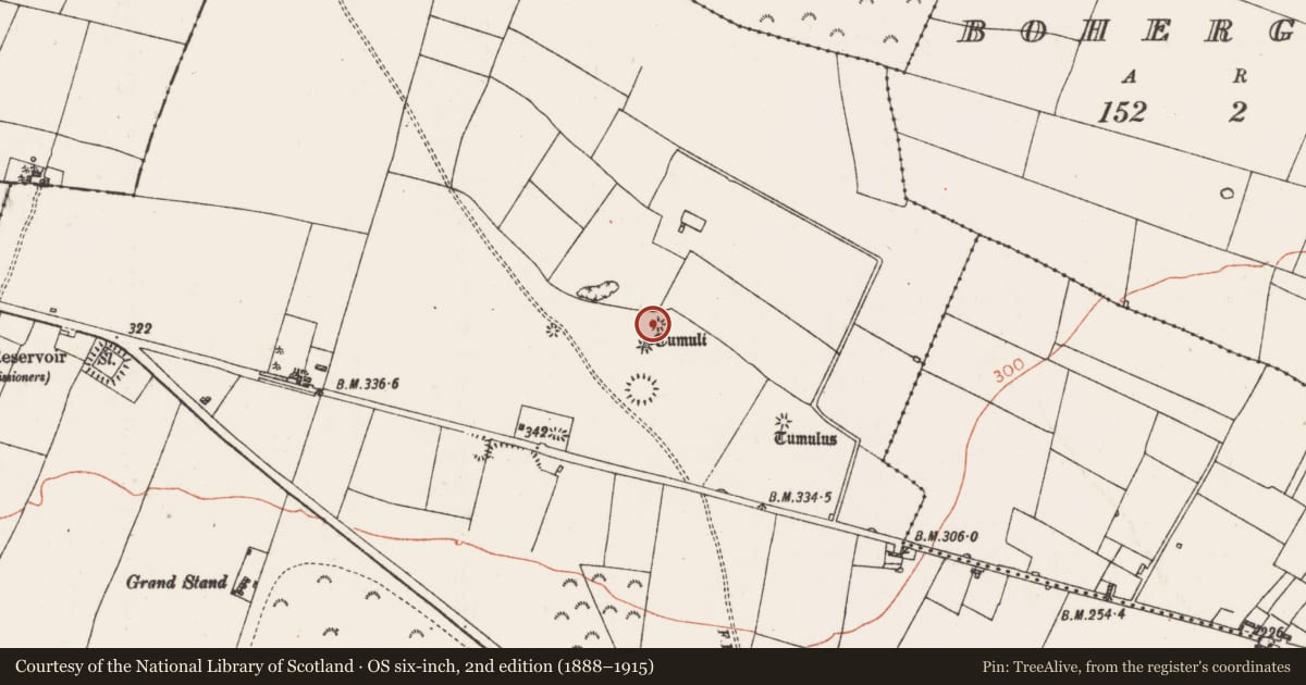 Ordnance Survey six-inch map, 2nd edition (1888–1915) covering the location of Barrow - ring-barrow, Carrownabrickna, County Roscommon, with a pin at the register's coordinates