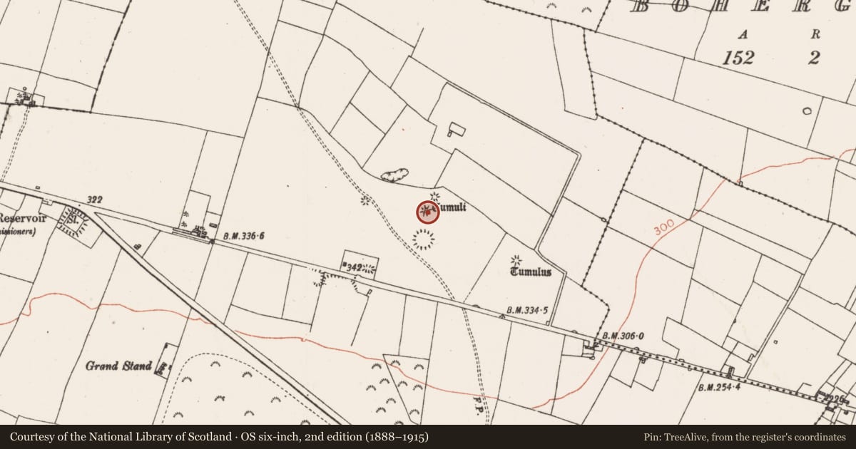 Ordnance Survey six-inch map, 2nd edition (1888–1915) covering the location of Barrow - ring-barrow, Carrownabrickna, County Roscommon, with a pin at the register's coordinates