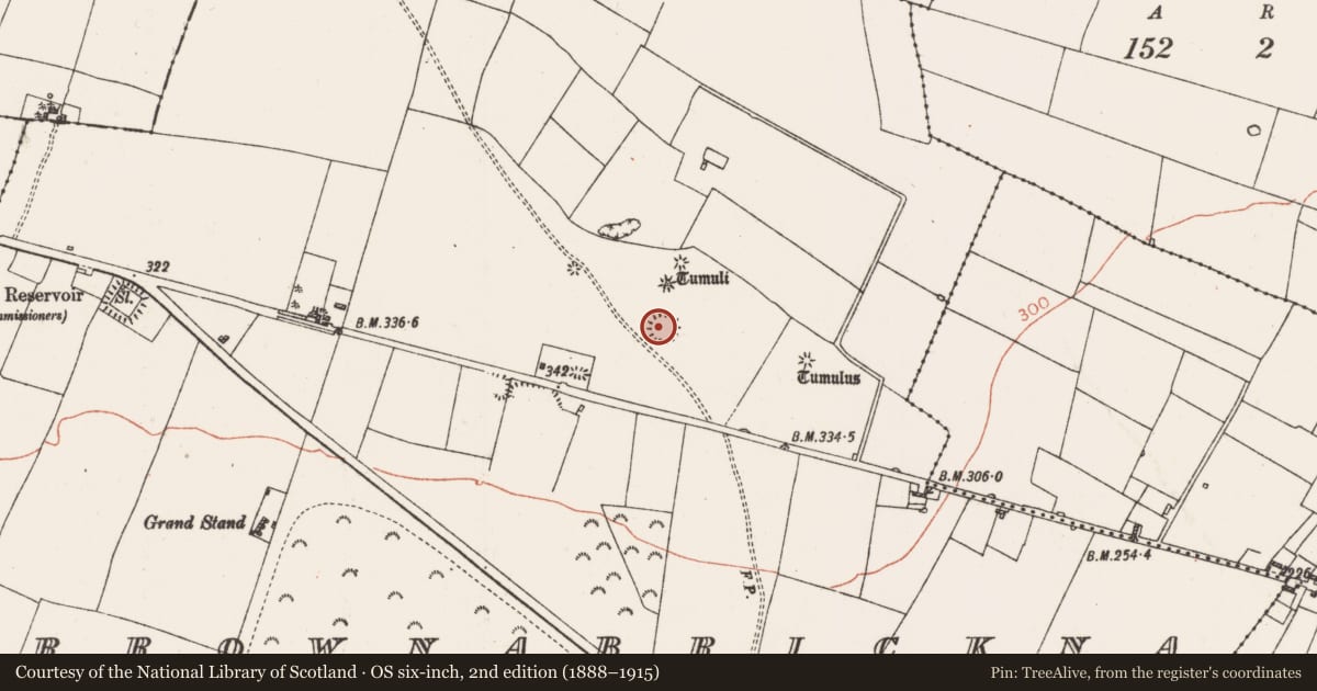 Ordnance Survey six-inch map, 2nd edition (1888–1915) covering the location of Ringfort - rath, Carrownabrickna, County Roscommon, with a pin at the register's coordinates