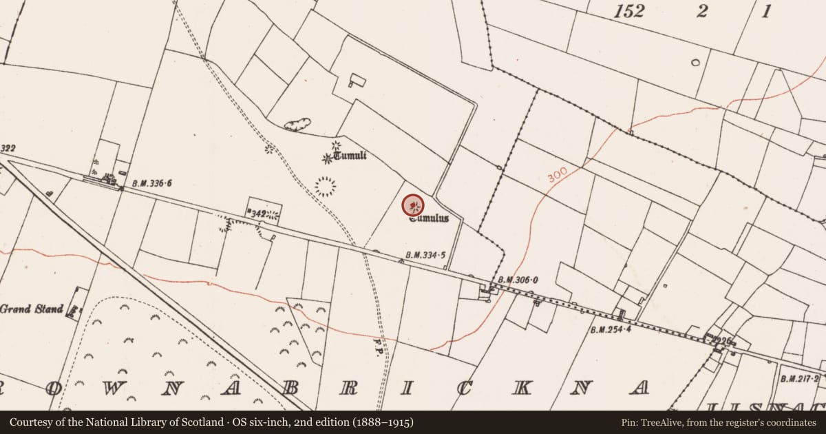 Ordnance Survey six-inch map, 2nd edition (1888–1915) covering the location of Barrow - unclassified, Carrownabrickna, County Roscommon, with a pin at the register's coordinates