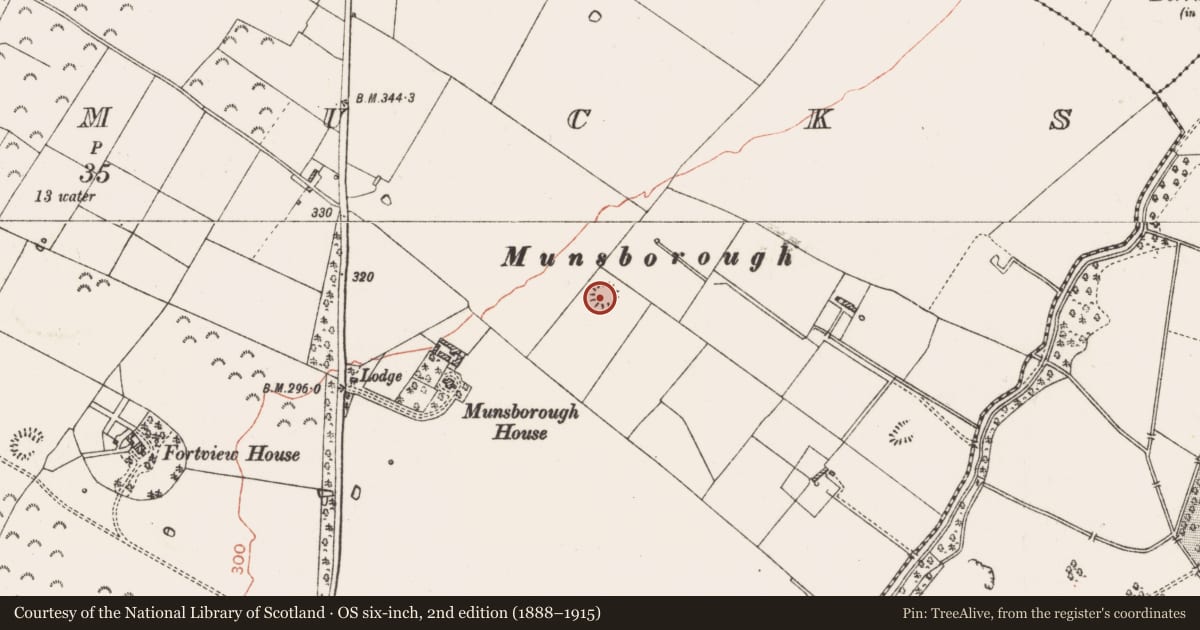 Ordnance Survey six-inch map, 2nd edition (1888–1915) covering the location of Ringfort - rath, Mullymucks, County Roscommon, with a pin at the register's coordinates
