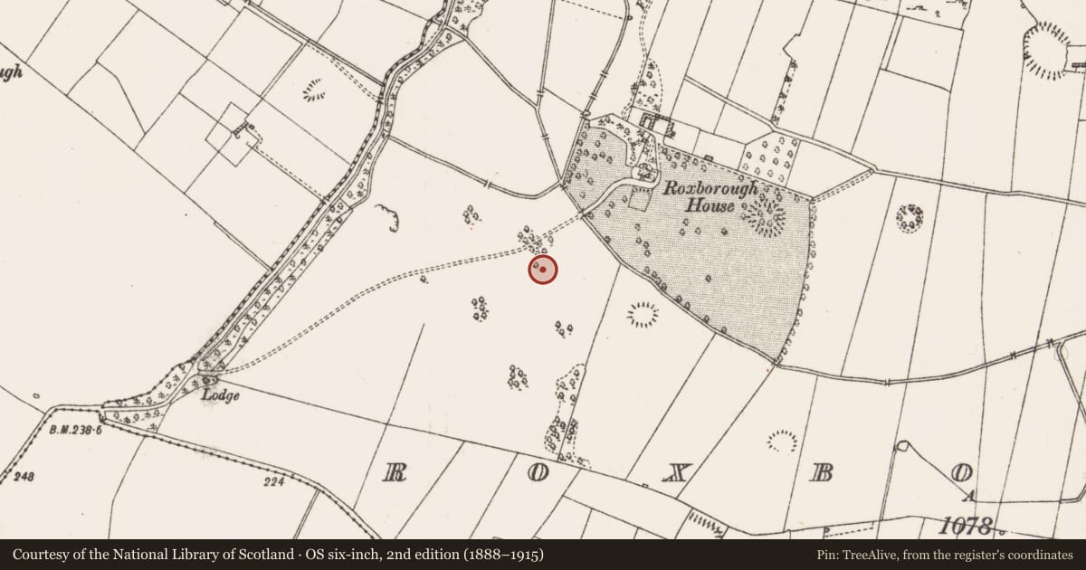 Ordnance Survey six-inch map, 2nd edition (1888–1915) covering the location of Ringfort - rath, Roxborough, County Roscommon, with a pin at the register's coordinates