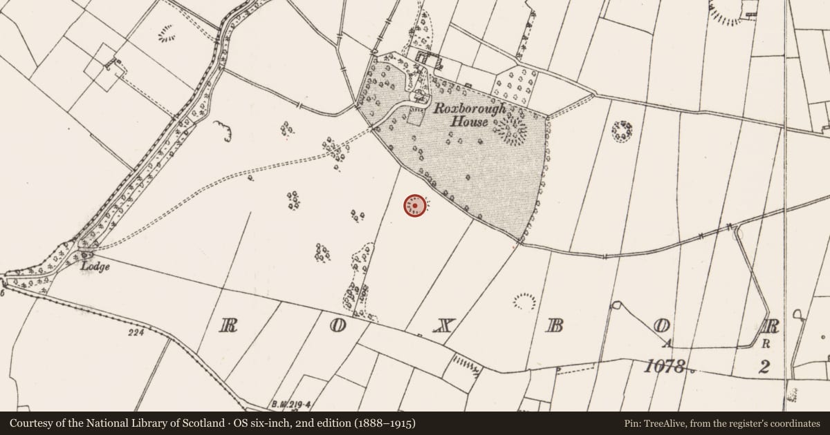Ordnance Survey six-inch map, 2nd edition (1888–1915) covering the location of Ringfort - rath, Roxborough, County Roscommon, with a pin at the register's coordinates