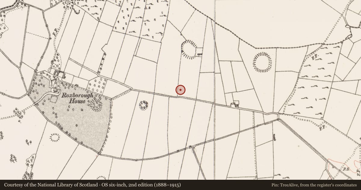 Ordnance Survey six-inch map, 2nd edition (1888–1915) covering the location of Ringfort - rath, Roxborough, County Roscommon, with a pin at the register's coordinates