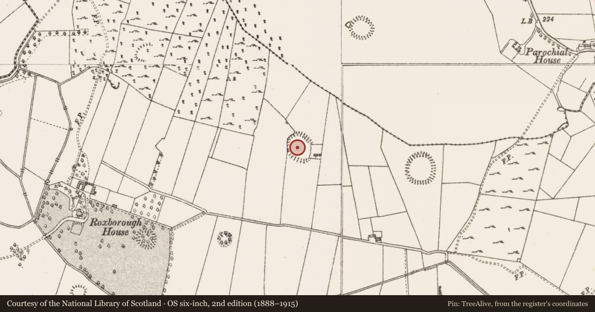 Ordnance Survey six-inch map, 2nd edition (1888–1915) covering the location of Ringfort - rath, Roxborough, County Roscommon, with a pin at the register's coordinates