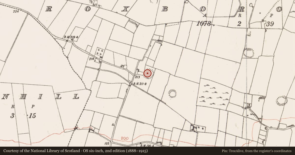 Ordnance Survey six-inch map, 2nd edition (1888–1915) covering the location of Ringfort - rath, Roxborough, County Roscommon, with a pin at the register's coordinates