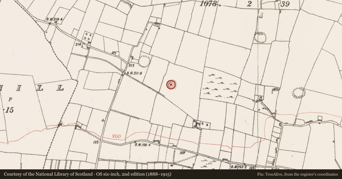 Ordnance Survey six-inch map, 2nd edition (1888–1915) covering the location of Ringfort - rath, Roxborough, County Roscommon, with a pin at the register's coordinates
