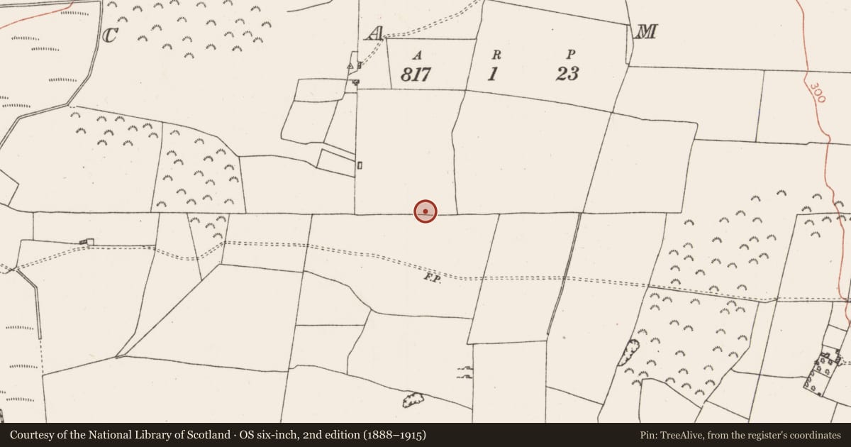 Ordnance Survey six-inch map, 2nd edition (1888–1915) covering the location of Road - road/trackway, Cams, County Roscommon, with a pin at the register's coordinates