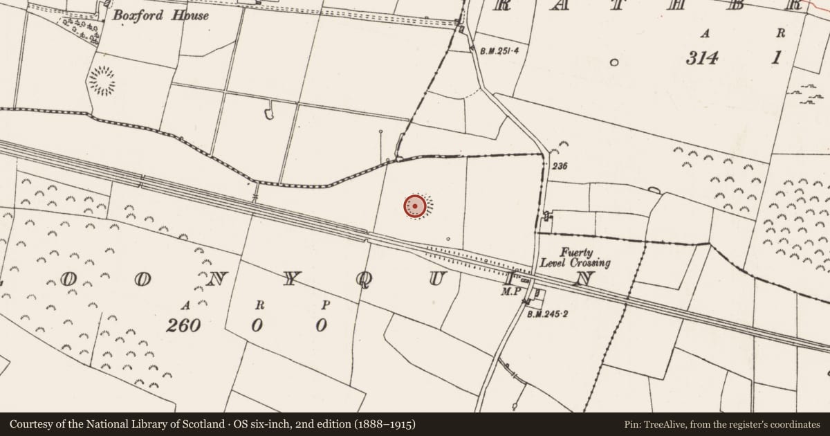 Ordnance Survey six-inch map, 2nd edition (1888–1915) covering the location of Ringfort - rath, Cloonyquin, County Roscommon, with a pin at the register's coordinates