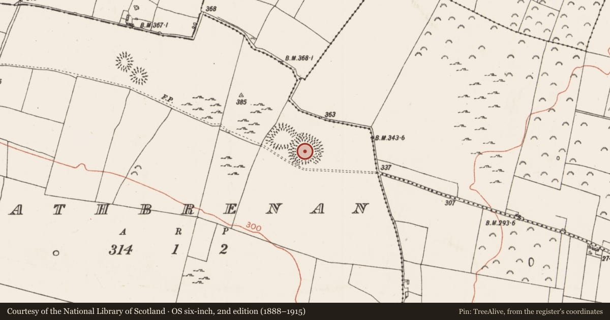 Ordnance Survey six-inch map, 2nd edition (1888–1915) covering the location of Ringfort - rath, Rathbrenan, County Roscommon, with a pin at the register's coordinates