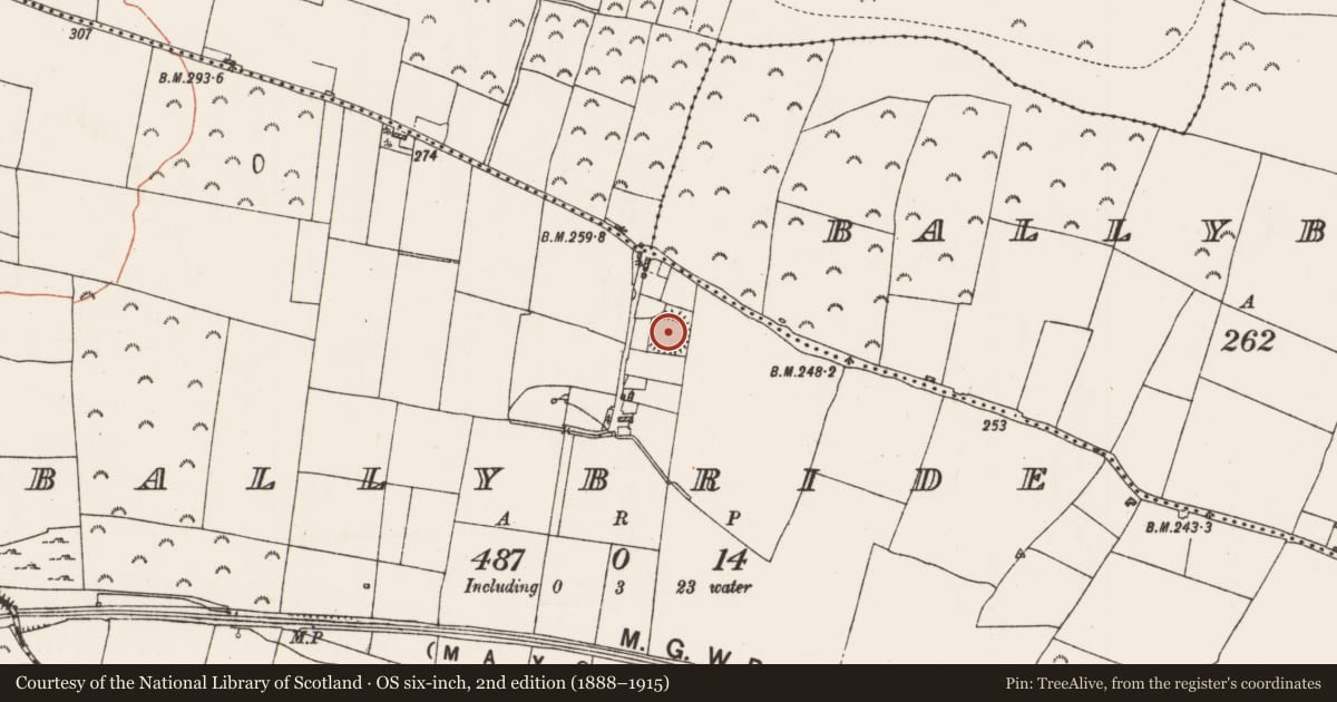 Ordnance Survey six-inch map, 2nd edition (1888–1915) covering the location of Ringfort - rath, Ballybride, County Roscommon, with a pin at the register's coordinates