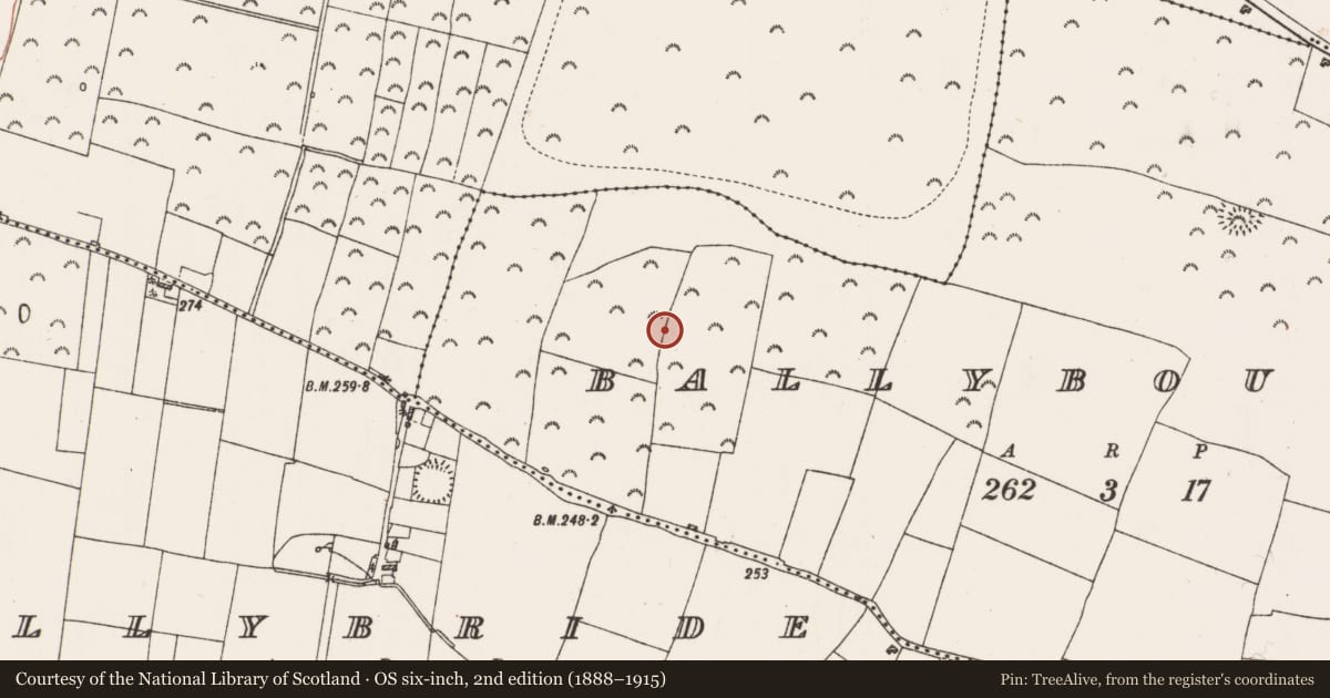 Ordnance Survey six-inch map, 2nd edition (1888–1915) covering the location of Earthwork, Ballyboughan, County Roscommon, with a pin at the register's coordinates