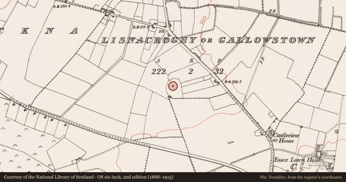 Ordnance Survey six-inch map, 2nd edition (1888–1915) covering the location of Enclosure - large enclosure, Lisnacroghy Or Gallowstown, County Roscommon, with a pin at the register's coordinates
