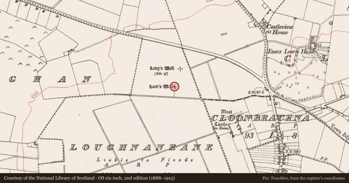 Ordnance Survey six-inch map, 2nd edition (1888–1915) covering the location of Well, Loughnaneane, County Roscommon, with a pin at the register's coordinates