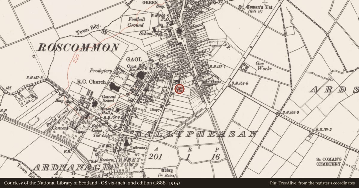 Ordnance Survey six-inch map, 2nd edition (1888–1915) covering the location of Inscribed slab, Ballypheasan, County Roscommon, with a pin at the register's coordinates
