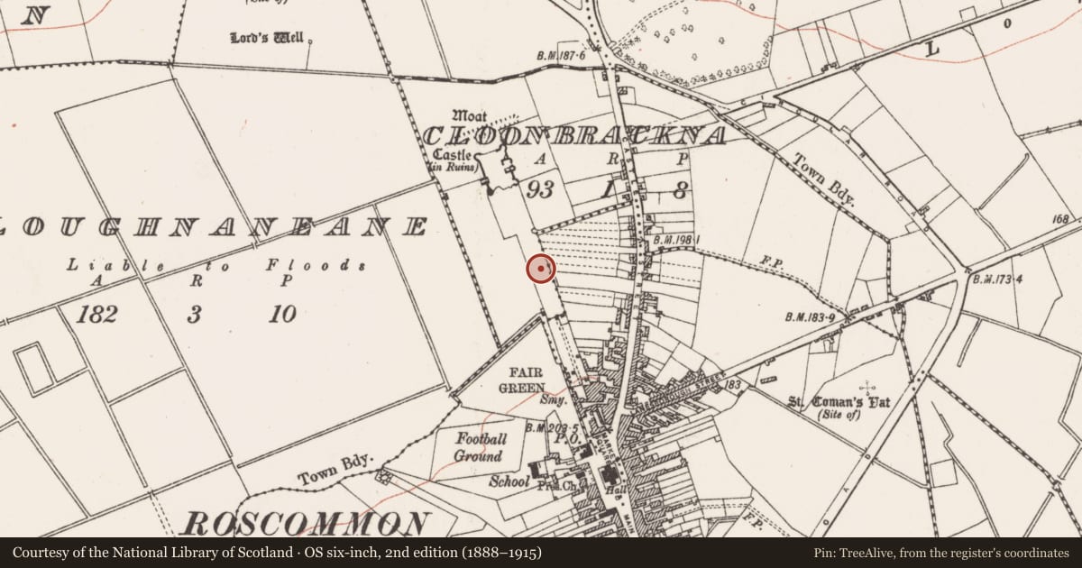 Ordnance Survey six-inch map, 2nd edition (1888–1915) covering the location of Designed landscape - avenue, Ballypheasan, Cloonbrackna, County Roscommon, with a pin at the register's coordinates