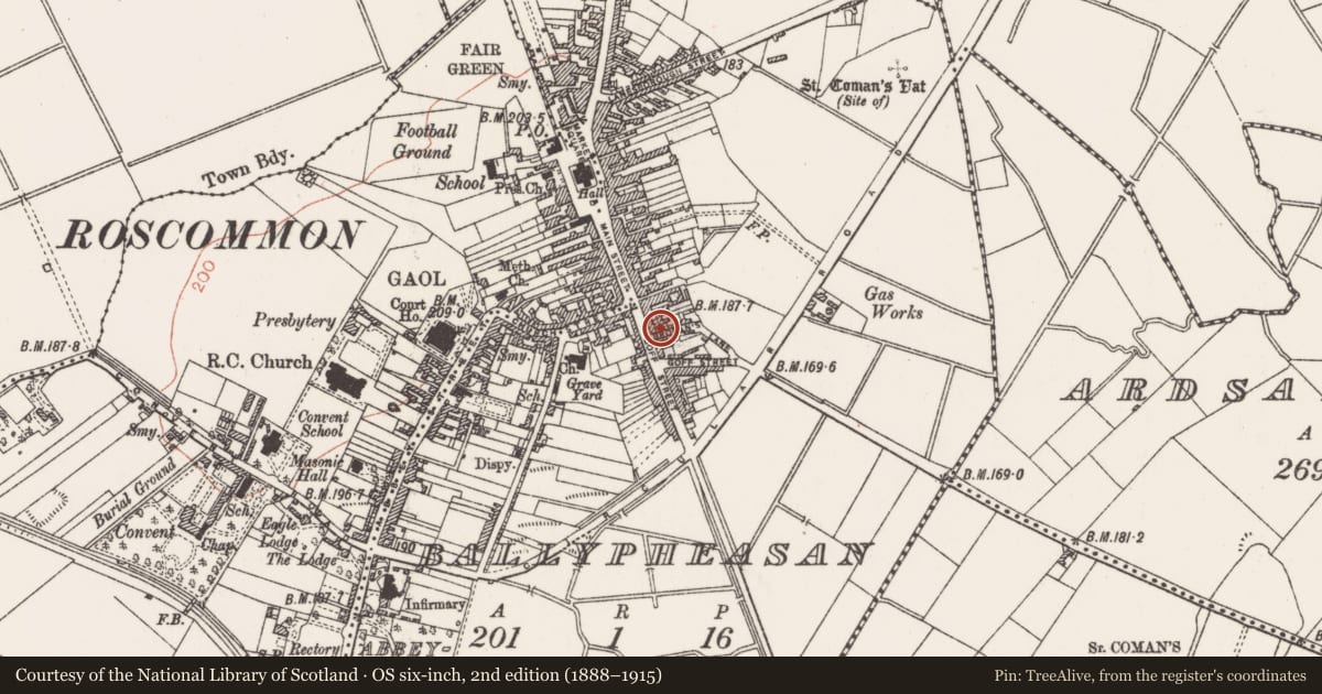 Ordnance Survey six-inch map, 2nd edition (1888–1915) covering the location of Excavation - miscellaneous, Ballypheasan, County Roscommon, with a pin at the register's coordinates