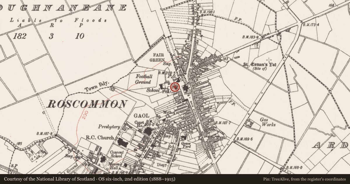 Ordnance Survey six-inch map, 2nd edition (1888–1915) covering the location of Sheela-na-gig (present location), Ardnanagh, County Roscommon, with a pin at the register's coordinates