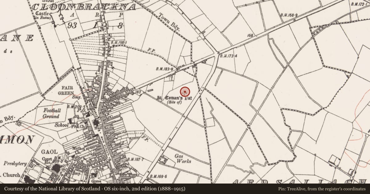 Ordnance Survey six-inch map, 2nd edition (1888–1915) covering the location of Excavation - miscellaneous, Ballypheasan, County Roscommon, with a pin at the register's coordinates
