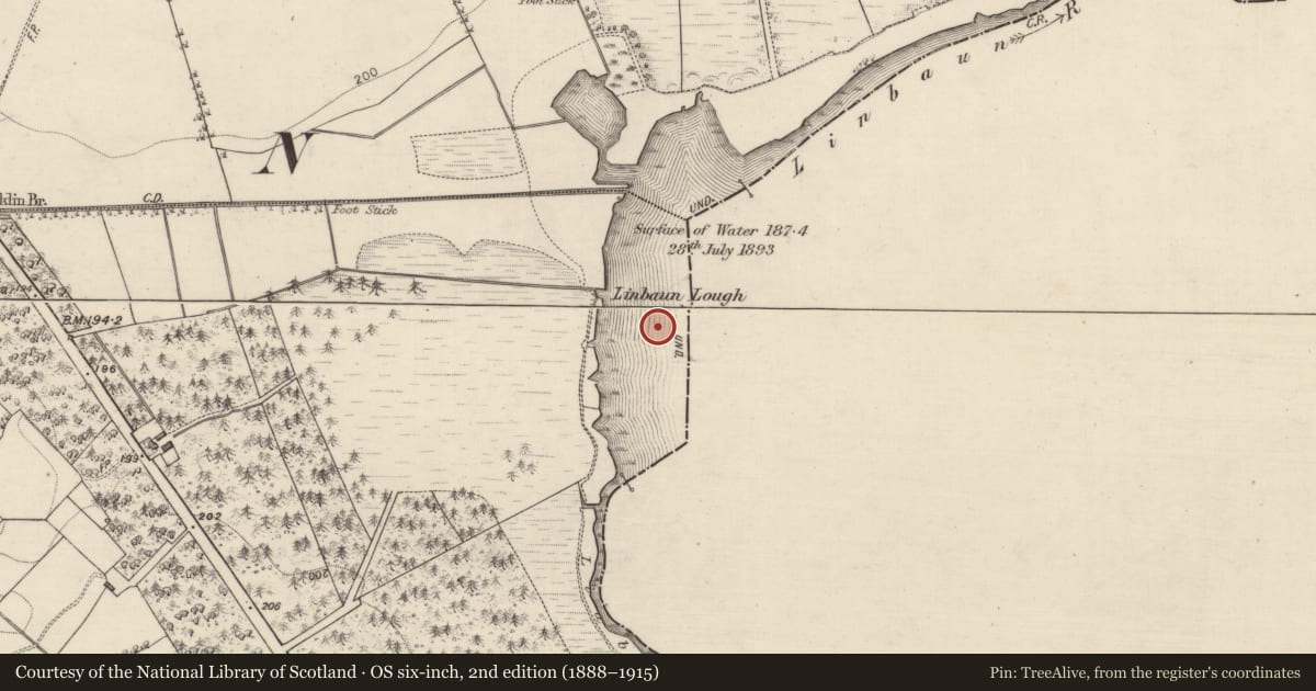 Ordnance Survey six-inch map, 2nd edition (1888–1915) covering the location of Crannog, Bracklin, County Roscommon, with a pin at the register's coordinates