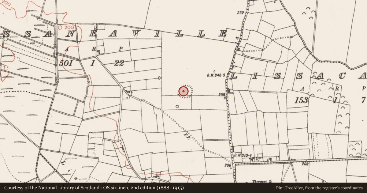 Ordnance Survey six-inch map, 2nd edition (1888–1915) covering the location of Ringfort - rath, Lissaneaville, County Roscommon, with a pin at the register's coordinates