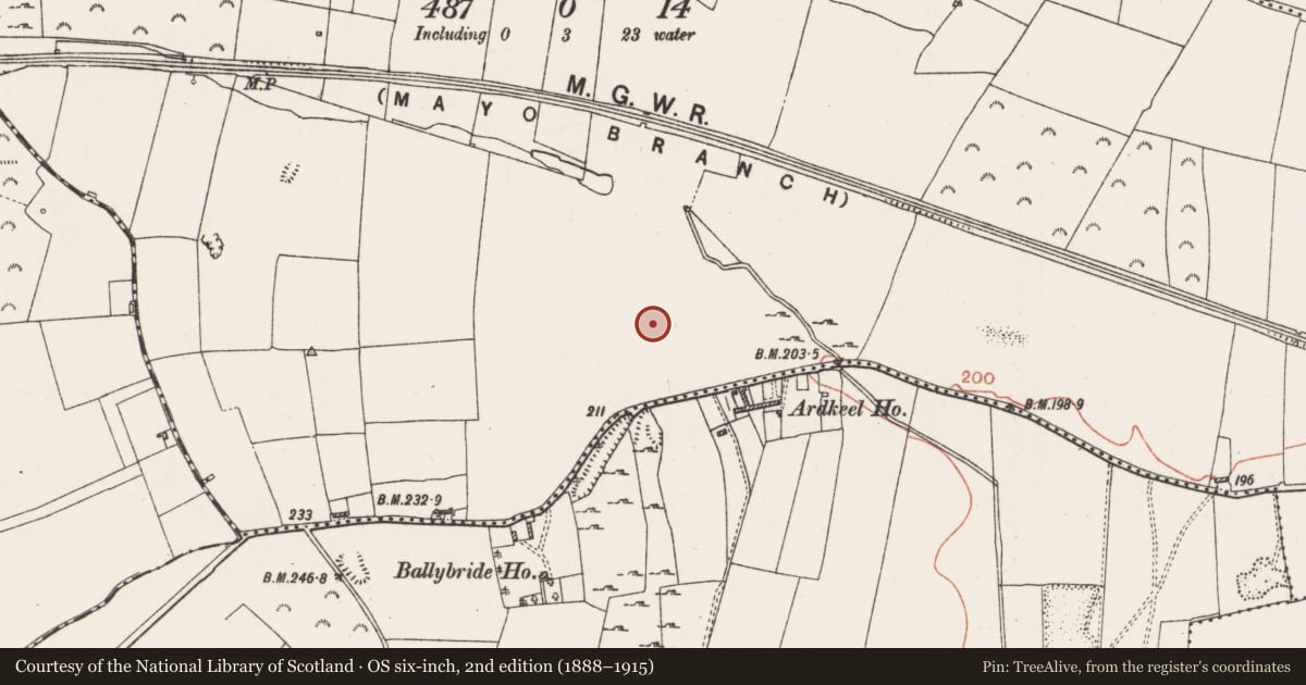 Ordnance Survey six-inch map, 2nd edition (1888–1915) covering the location of House - indeterminate date, Ballybride, County Roscommon, with a pin at the register's coordinates