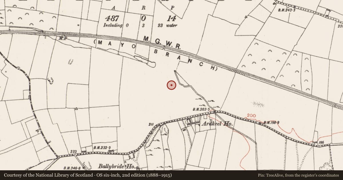 Ordnance Survey six-inch map, 2nd edition (1888–1915) covering the location of Field system, Ballybride, County Roscommon, with a pin at the register's coordinates