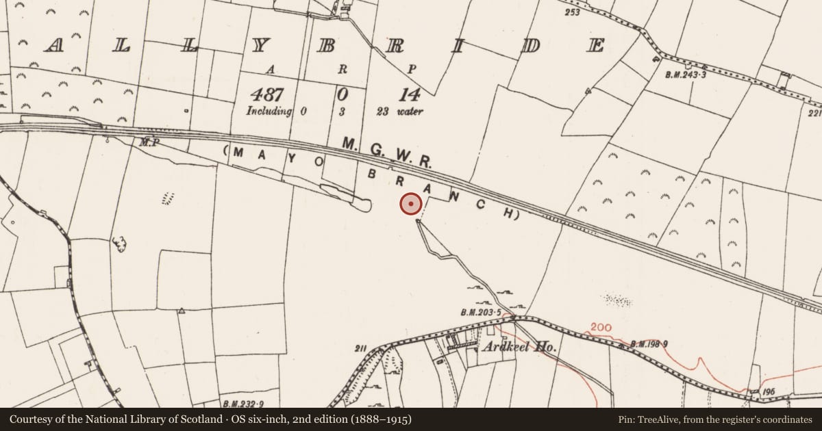 Ordnance Survey six-inch map, 2nd edition (1888–1915) covering the location of House - indeterminate date, Ballybride, County Roscommon, with a pin at the register's coordinates
