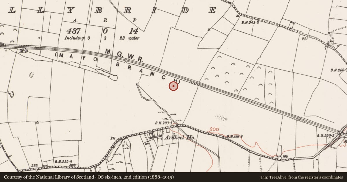 Ordnance Survey six-inch map, 2nd edition (1888–1915) covering the location of Ringfort - rath, Ballybride, County Roscommon, with a pin at the register's coordinates