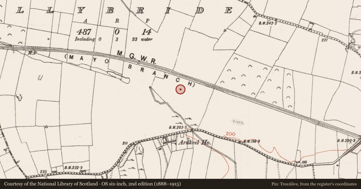 Ordnance Survey six-inch map, 2nd edition (1888–1915) covering the location of Enclosure, Ballybride, County Roscommon, with a pin at the register's coordinates