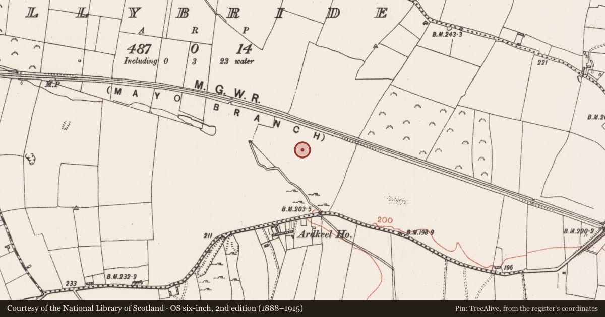 Ordnance Survey six-inch map, 2nd edition (1888–1915) covering the location of House - indeterminate date, Ballybride, County Roscommon, with a pin at the register's coordinates