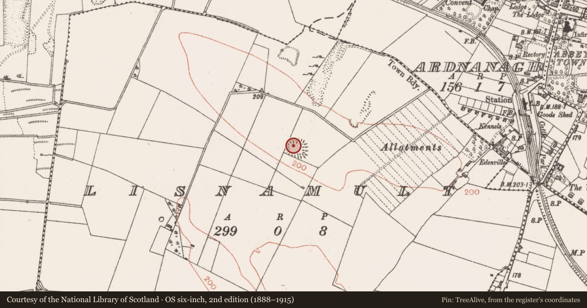Ordnance Survey six-inch map, 2nd edition (1888–1915) covering the location of Ringfort - rath, Lisnamult, County Roscommon, with a pin at the register's coordinates