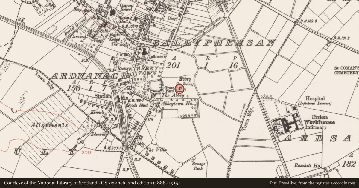 Ordnance Survey six-inch map, 2nd edition (1888–1915) covering the location of Religious house - Dominican friars, Ballypheasan, County Roscommon, with a pin at the register's coordinates