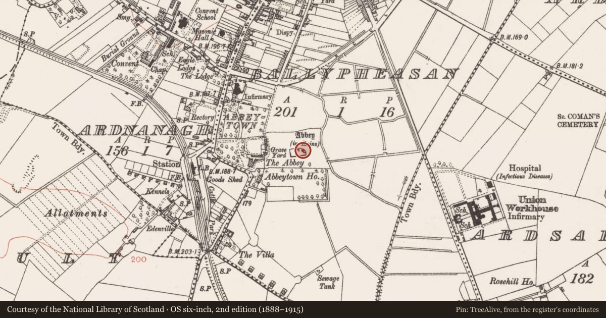 Ordnance Survey six-inch map, 2nd edition (1888–1915) covering the location of Wall monument, Ballypheasan, County Roscommon, with a pin at the register's coordinates