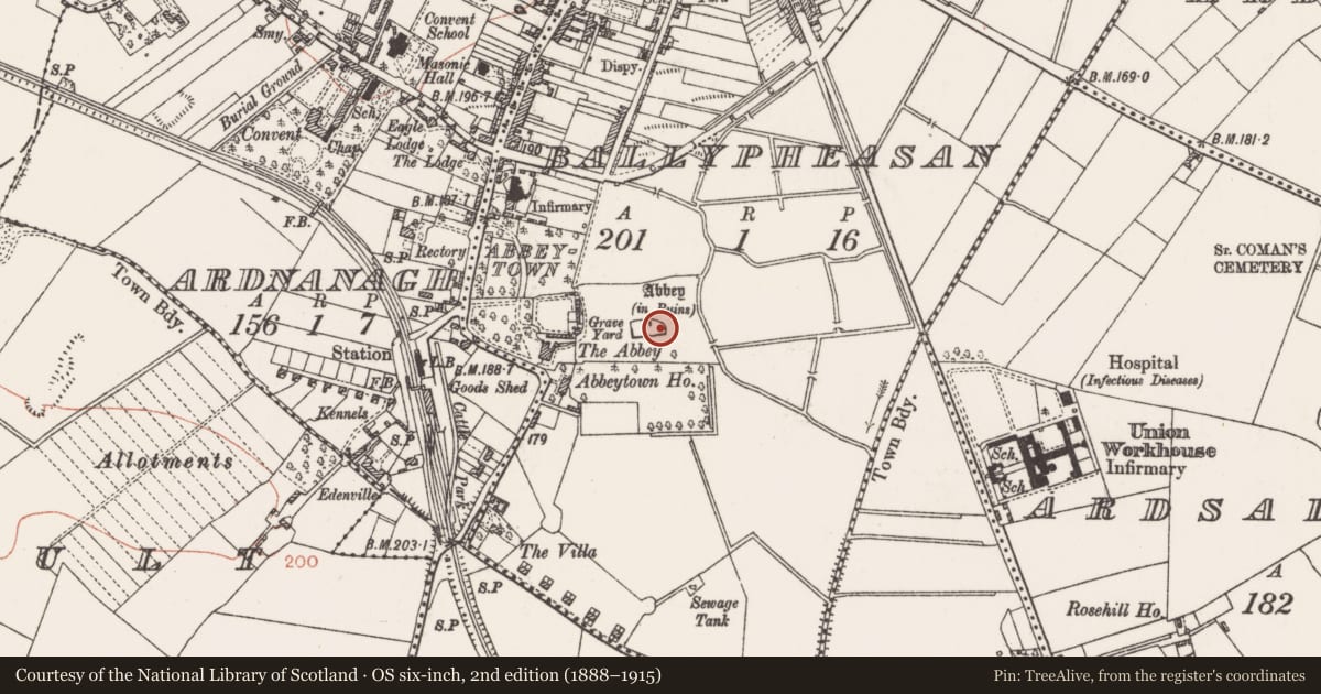 Ordnance Survey six-inch map, 2nd edition (1888–1915) covering the location of Graveslab, Ballypheasan, County Roscommon, with a pin at the register's coordinates