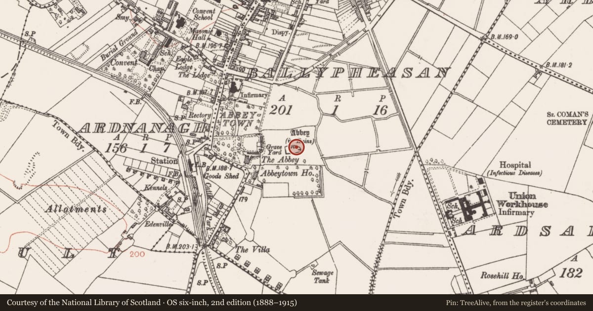 Ordnance Survey six-inch map, 2nd edition (1888–1915) covering the location of Stone sculpture, Ballypheasan, County Roscommon, with a pin at the register's coordinates