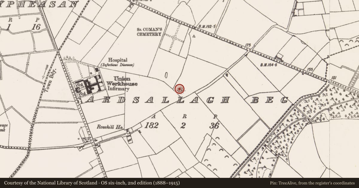 Ordnance Survey six-inch map, 2nd edition (1888–1915) covering the location of Ringfort - rath, Ardsallagh Beg, County Roscommon, with a pin at the register's coordinates