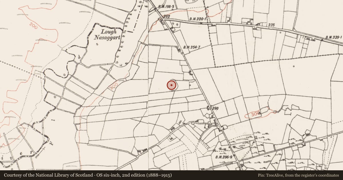 Ordnance Survey six-inch map, 2nd edition (1888–1915) covering the location of Ringfort - rath, Creemully And Aghagad Beg, County Roscommon, with a pin at the register's coordinates