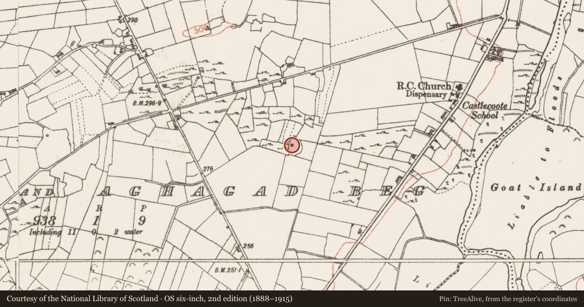 Ordnance Survey six-inch map, 2nd edition (1888–1915) covering the location of Ringfort - cashel, Creemully And Aghagad Beg, County Roscommon, with a pin at the register's coordinates
