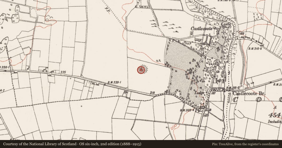 Ordnance Survey six-inch map, 2nd edition (1888–1915) covering the location of Ringfort - rath, Castlecoote, County Roscommon, with a pin at the register's coordinates
