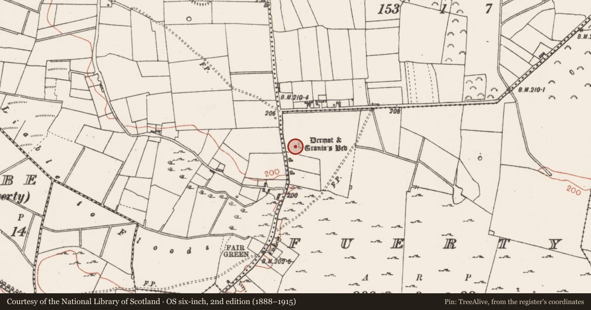 Ordnance Survey six-inch map, 2nd edition (1888–1915) covering the location of Megalithic tomb - wedge tomb, Fuerty, County Roscommon, with a pin at the register's coordinates