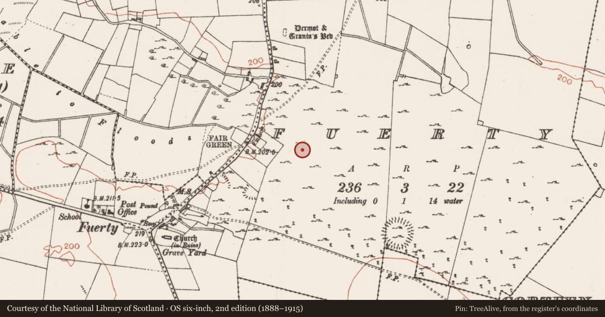 Ordnance Survey six-inch map, 2nd edition (1888–1915) covering the location of Ringfort - cashel, Fuerty, County Roscommon, with a pin at the register's coordinates