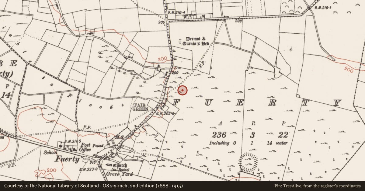 Ordnance Survey six-inch map, 2nd edition (1888–1915) covering the location of Field system, Fuerty, County Roscommon, with a pin at the register's coordinates